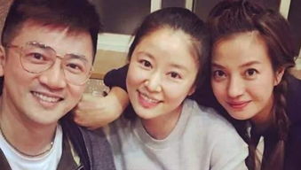 蘇有朋導(dǎo)演的電影有哪些