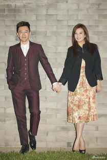 蘇有朋導(dǎo)演的電影有哪些