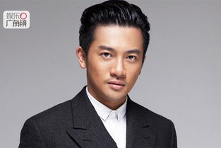 蘇有朋身價多少億