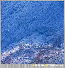 陽春白雪和下里巴人最初指什么