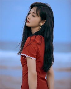 吳宣儀高中什么學校