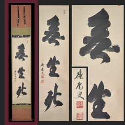 妙真師陳曉旭怎么死的