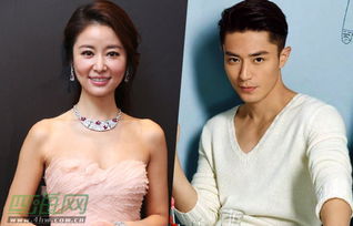 林心如生二胎了嗎