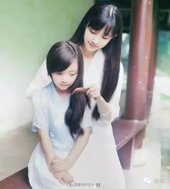 白鹿畢業于哪個大學