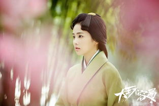 白鹿畢業于哪個大學