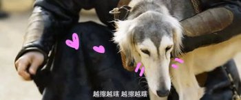 雷佳音身價多少