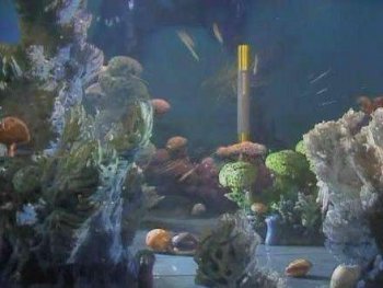 孫悟空的金箍棒有多重