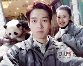 魏大勛怎么火的