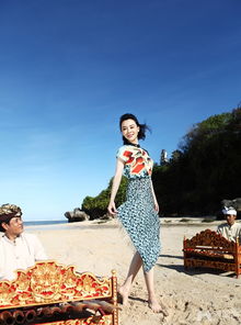 陳數(shù)結(jié)過幾次婚