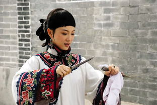 陳數(shù)結(jié)過幾次婚