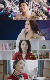 陳數(shù)結(jié)過幾次婚