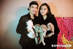 黃曉明和baby是因?yàn)槭裁措x的婚