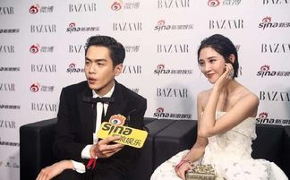 張若昀原名叫什么