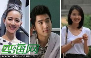 張鈞甯趙又廷分手原因