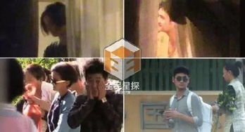 張歆藝二婚還是三婚