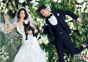 張歆藝什么時候結婚的