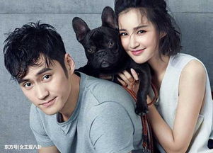 張歆藝和袁弘離婚了嗎