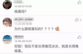 張歆藝孫紅雷合作過嗎