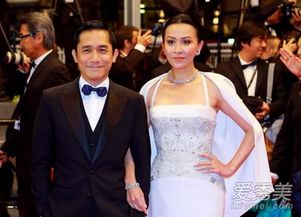 梁朝偉劉嘉玲為什么不生