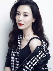 陳數(shù)的兒子是鹿晗嗎