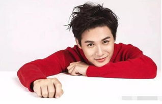 鄭業(yè)成是誰旗下藝人