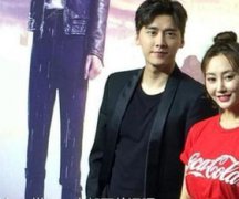 李易峰李純什么關系