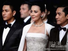 梁朝偉劉嘉玲為什么不生