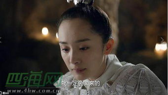 高偉光2017接拍哪些戲