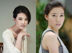 高露高圓圓什么關系