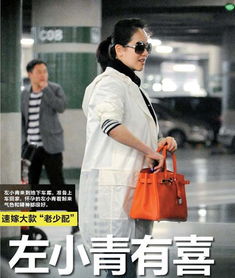 左小青孫紅雷為何分手