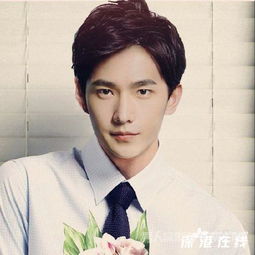 楊洋在哪個經紀公司