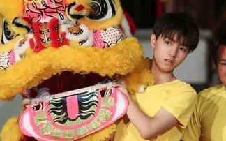 宋威龍高能少年團哪期