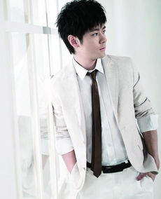 林志穎雙胞胎多大