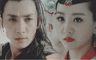 楊蓉朱一龍在一起了嗎