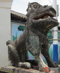 獅子冷暴力是想分手嗎