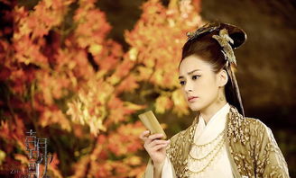 王麗坤封神什么時候播