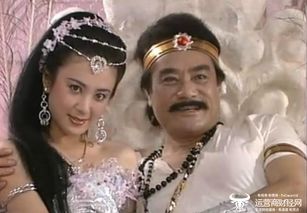 王麗坤封神什么時候播