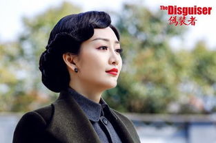 王鷗的老公真正是誰