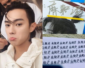 許凱粉絲叫什么