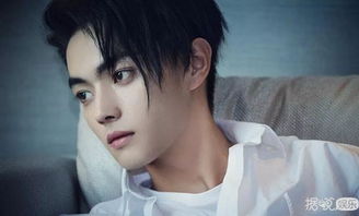 許凱粉絲叫什么