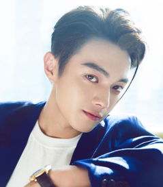 許凱粉絲叫什么