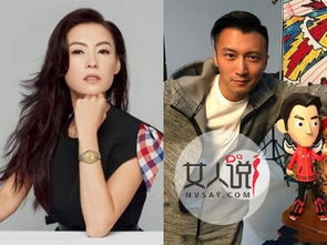 謝霆鋒和張柏芝復婚了嗎