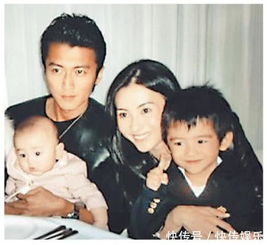 謝霆鋒和張柏芝復婚了嗎