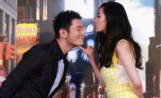 黃曉明和楊冪演的電影作品