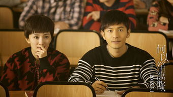 黃曉明和楊冪演的電影作品