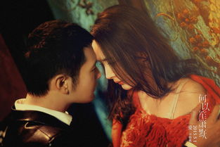 黃曉明和楊冪演的電影作品