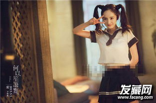 黃曉明和楊冪演的電影作品