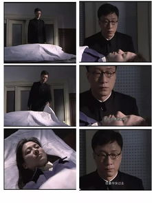 黃秋生如何評價孫紅雷