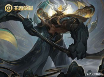 張大仙z打過職業嗎