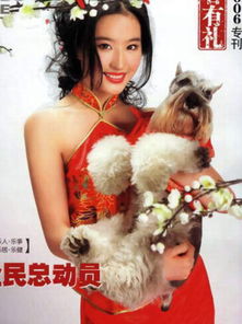 唐嫣旗下的藝人有哪些